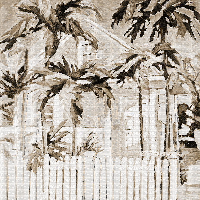 soave background animated summer tropical palm - GIF animate gratis