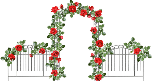 fence with red roses - Free PNG