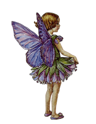 fairy by nataliplus - png ฟรี
