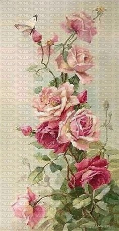 Roses - zadarmo png