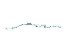 Dauphin saute - Nemokamas animacinis gif