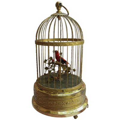 birdcage bp - png ฟรี