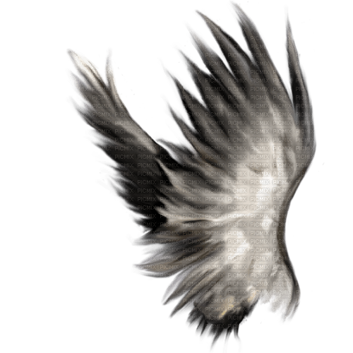 deco fantasy wings png tube kikkapink - PNG gratuit