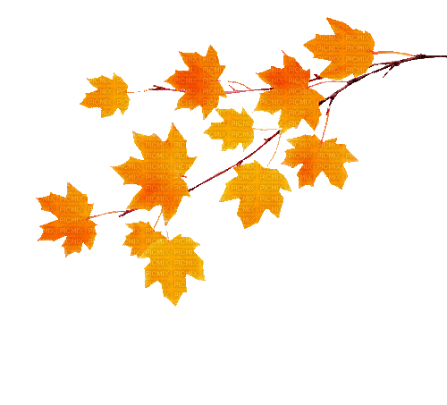 Осень гиф, Карина - Darmowy animowany GIF
