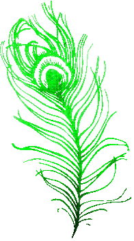 soave deco peacock feathers animated green - Безплатен анимиран GIF