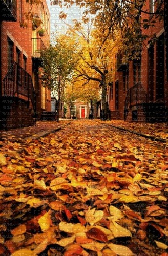 paisaje de otoño - gratis png