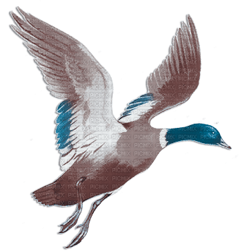 soave deco autumn bird duck vintage blue brown - бесплатно png