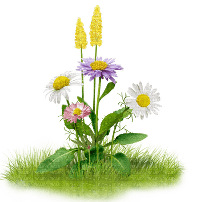 flowers - png grátis
