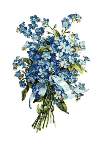 Vergißmeinnicht, Blumen, Vintage - Безплатен анимиран GIF