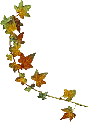 leaves autumn deco  feuilles automne - 免费PNG