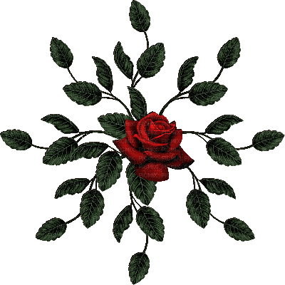 roses - 免费动画 GIF
