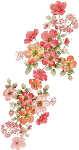 flowers orange pink summer spring deco - Gratis animerad GIF