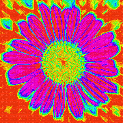 flower background - Nemokamas animacinis gif