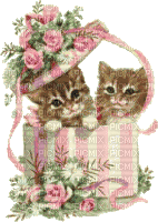 Vintage Kitten - Ingyenes animált GIF