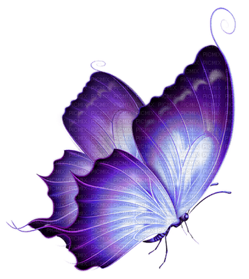 mariposa - δωρεάν png