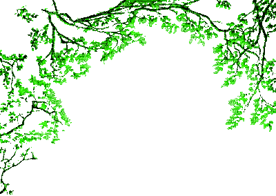Rena animated green Tree Baum Frame - Gratis geanimeerde GIF