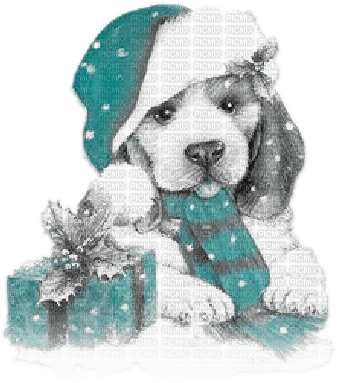 soave animals dog christmas winter black white - PNG gratuit