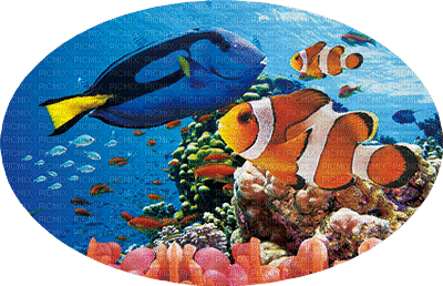 3D  underwater sea mer meer  summer ete sommer ocean ozean deep sea  undersea fond background océan  image fish poisson gif anime animated animation tube - GIF เคลื่อนไหวฟรี