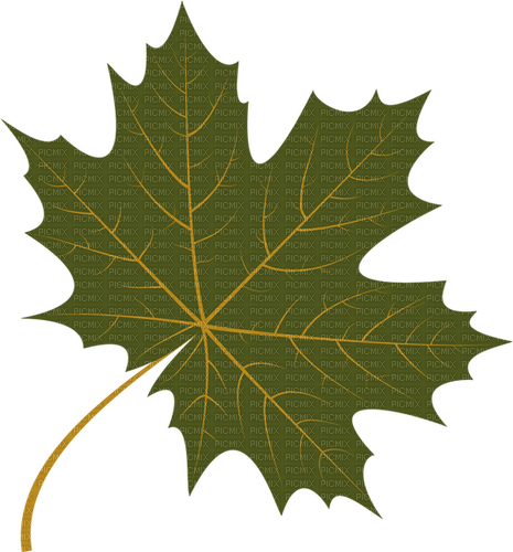 green leaf Bb2 - png grátis