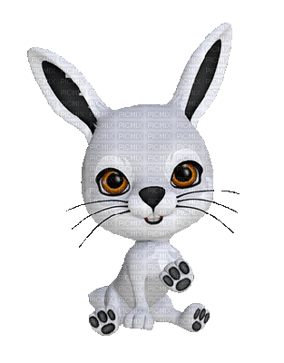 petit lapin malicieux - GIF เคลื่อนไหวฟรี