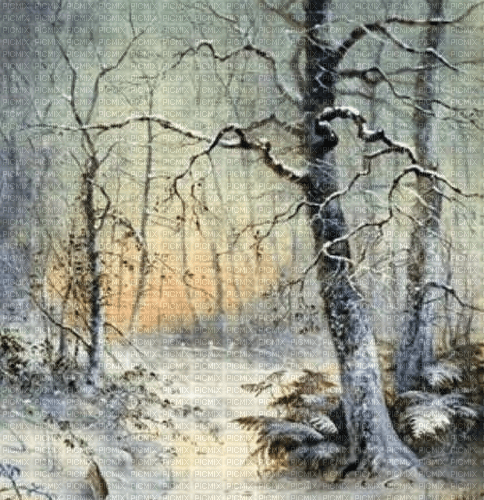 Rena Winter Background Hintergrund - png ฟรี