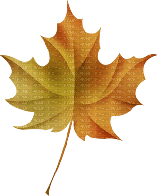 Kaz_Creations Deco  Colours  Leaves Leafs - ilmainen png