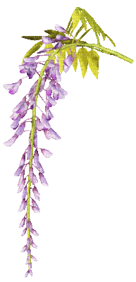 soave deco flowers  branch animated purple green - Besplatni animirani GIF