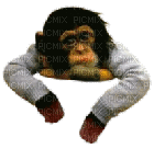 обезьяна - Δωρεάν κινούμενο GIF