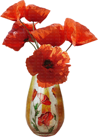 loly33  vase coquelicot - zadarmo png