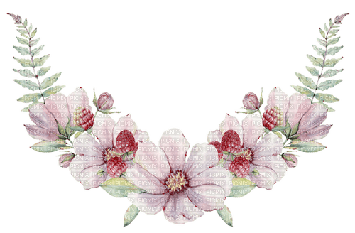 kikkapink border flowers - kostenlos png