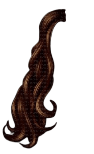 Cheveux brun - zdarma png
