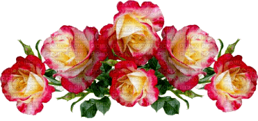 roses tube - gratis png