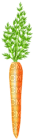 Kaz_Creations Vegetables - zadarmo png