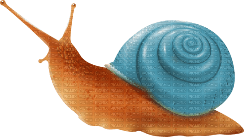 Snail - 免费PNG