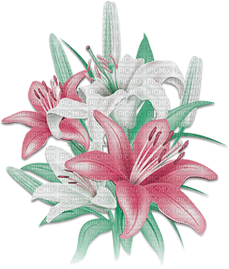soave deco flowers spring lilies branch pink green - ingyenes png