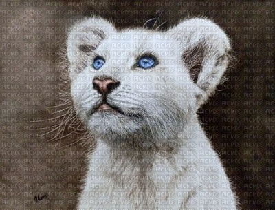 lion blanc - png ฟรี