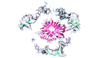 coe rose pink - 免费动画 GIF