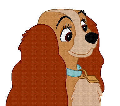 Lady and the Tramp - png gratis