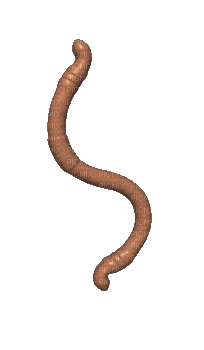 worm - GIF animado gratis
