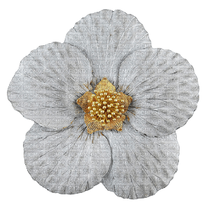 minou-decoration button flower-dekorationsknapp blomma - png ฟรี