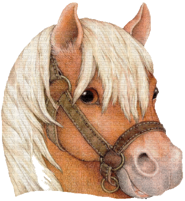 poney - 免费动画 GIF