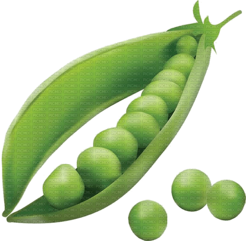 Erbsen, grün - PNG gratuit