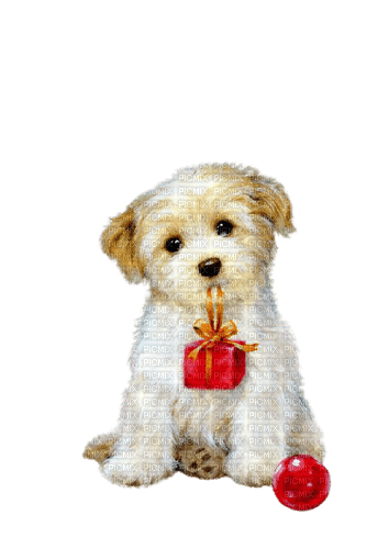 puppy christmas - ilmainen png
