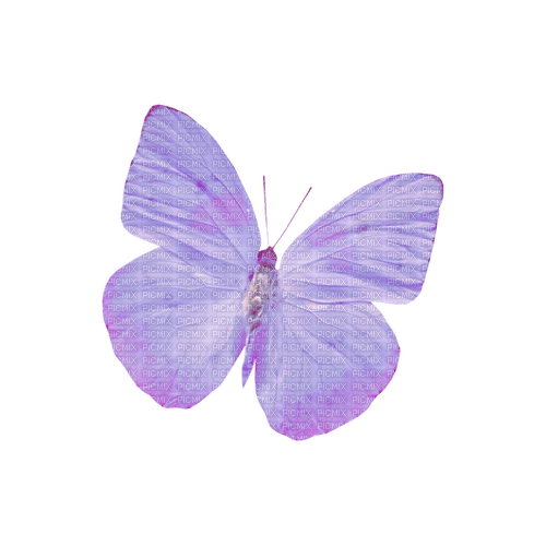 kikkapink deco scrap purple spring butterfly - png ฟรี