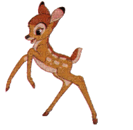 deer reh cerf animal bambi - Zdarma animovaný GIF