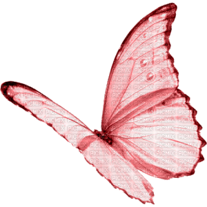 BUTTERFLY! - δωρεάν png