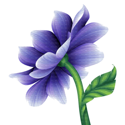fleur bleue - nemokama png
