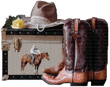 Cowboy bp - Zdarma animovaný GIF