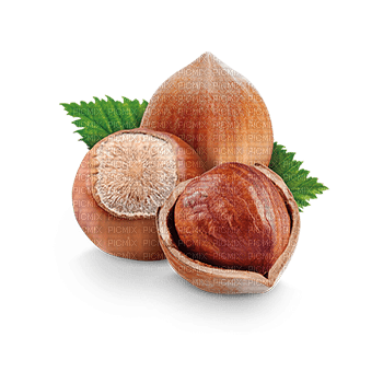 nuts bp - фрее пнг
