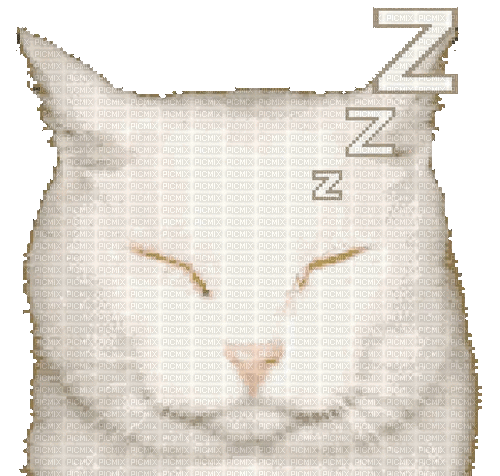 warioware cat - GIF animé gratuit